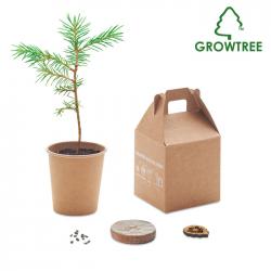 Pijnboom set Growtree™