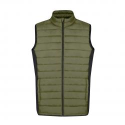 Vest Toret