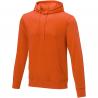 Charon heren hoodie 