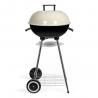 Houtskool BBQ DOC172C