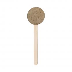 Zaad-Lolly zaden Ebeldy