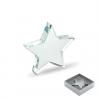 Glazen ster award Starward