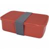 Dovi lunchdoos van 800 ml 