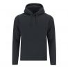 Volwassene sweatshirt Draco
