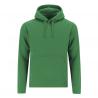 Volwassene sweatshirt Draco