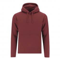 Volwassene sweatshirt Draco