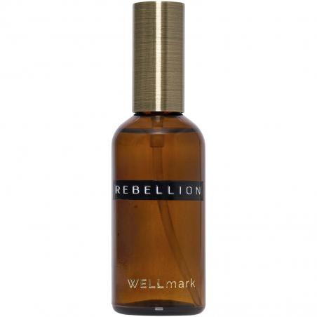 Wellmark 100 ml kamerspray 