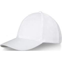 Drake 6 panel trucker-cap 