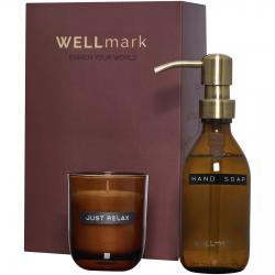 Wellmark discovery set van...