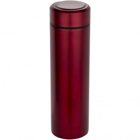 Taylor 450 ml dubbelwandige roestvrijstalen fles met theefilter 