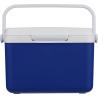 Koelbox 4 liter Sunkissed