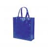 Tas Divia