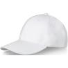 Davis 260 g/m² 6 panel cap 