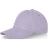 Davis 260 g/m² 6 panel cap 