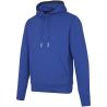 Arora 300 g/m² unisex hoodie 