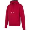 Arora 300 g/m² unisex hoodie 