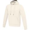 Arora 300 g/m² unisex hoodie 